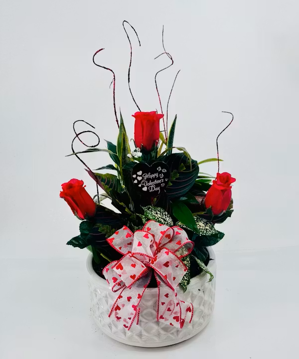 Valentine's Day Dish Garden (10")